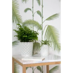 Curver Shop -Curver Shop 12806190 1414832992441635