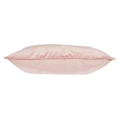 None Large Plain Velvet Cushion - Blush - 58x58cm 6 None Large Plain Velvet Cushion - Blush - 58x58cm -Curver Shop 12830709 8284833225894216