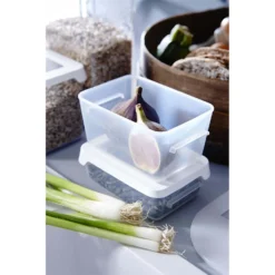 None Lunch Box 0,3 L 6 None Lunch Box 0,3 L -Curver Shop 12882334 4394843631334411