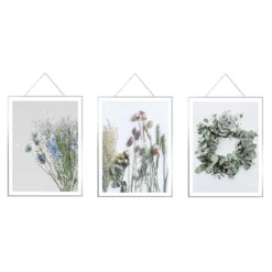 Floral Hanging Prints - Set Of 3 - 40x30cm