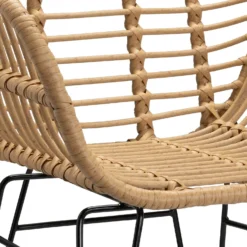 Ronnie Rattan Dining Chair - Set Of 2 12 Ronnie Rattan Dining Chair - Set Of 2 -Curver Shop 13644186 1804997056966623