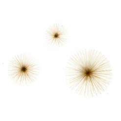 Mirano Set Of 3 Gold Starburst Wall Art
